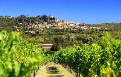 From Saint Tropez Provence Cru Classés Wine Tour Shore Excursion private