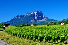 Wine Enthusiast's Escape: Private Savoie Wine Tour from Annecy