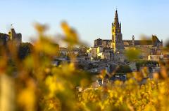 A Private Day in Saint-Emilion: Explore Wines & Charm