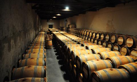 Wine Lover's Paradise: Medoc Wine Tour from Bordeaux Port