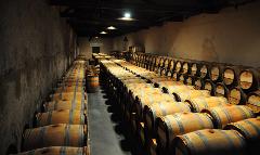 Wine Lover's Paradise: Medoc Wine Tour from Bordeaux Port
