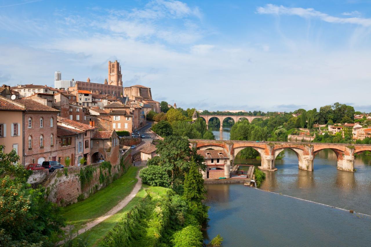 From Toulouse to Albi, Cordes Village & Gaillac Wine Tasting Tour private
