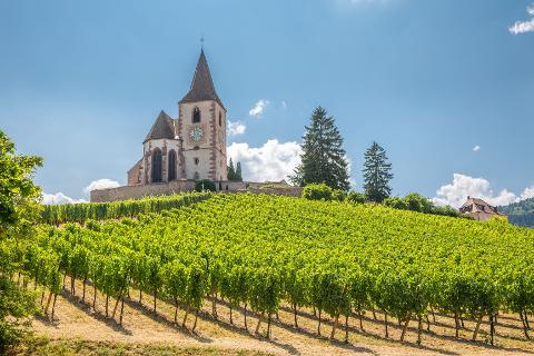 8-Day Private Alsace & Burgundy Package - 4* Hotel