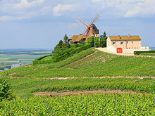 A Private Champagne Escape: Reims, Epernay, Hautvillers & Tastings