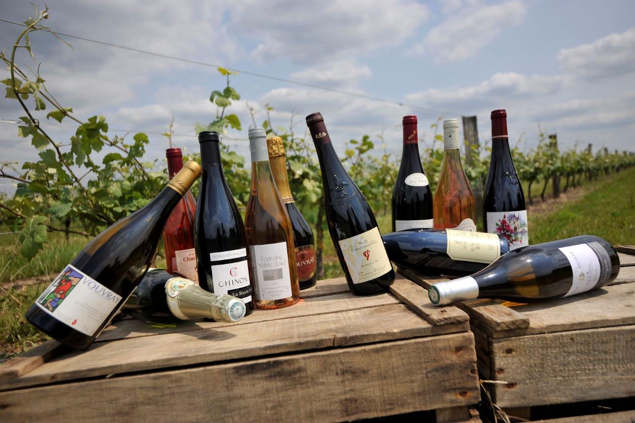 Loire Valley Wine Tour : Exploring Chinon & Bourgueil Vineyards