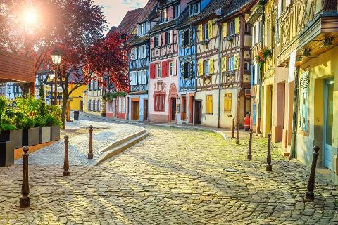 Taste of Alsace: Wines & Villages Private Tour from Strasbourg