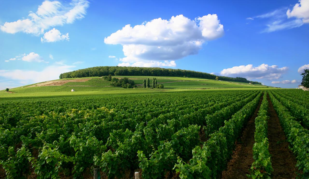 4 DAYS BURGUNDY WINE TOUR PRIVATE TRAVEL PACKAGE - BEAUNE 4*