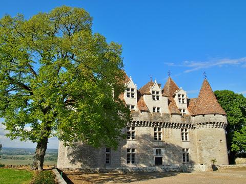 Private Bergerac Wine Tour from Sarlat: An Exclusive Vineyard Experience