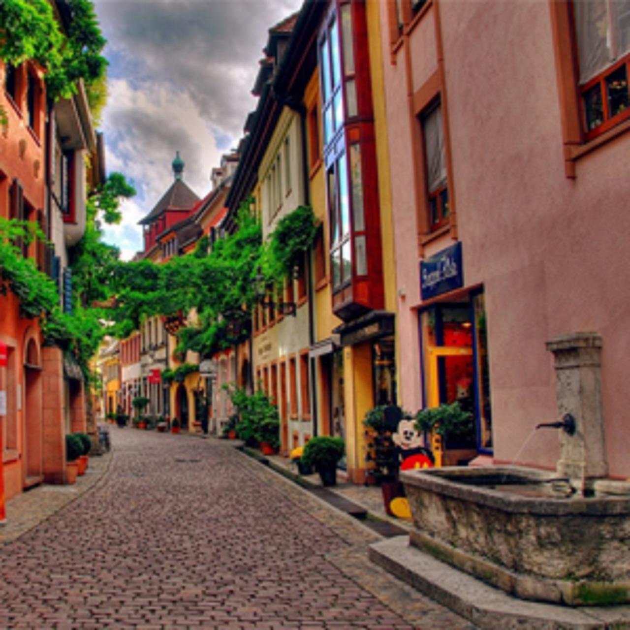 FREIBURG TOWN VISIT & MARKET HALF DAY SHARED TOUR FROM COLMAR