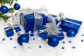 'Charles Darwin' Christmas Buffet Cruise