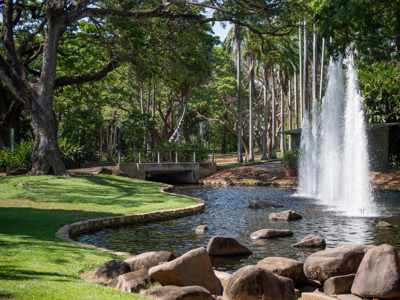 George Brown Darwin Botanic Gardens - Forest Bathing