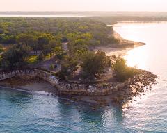 East Point Reserve - Mangroves to Monsoon: A Forest & Ocean Therapy Walk