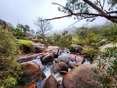 John Forrest: Waterfalls, Wandoo & Wildflowers