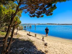 Estuary Paddle n Pint Kayaking Tour