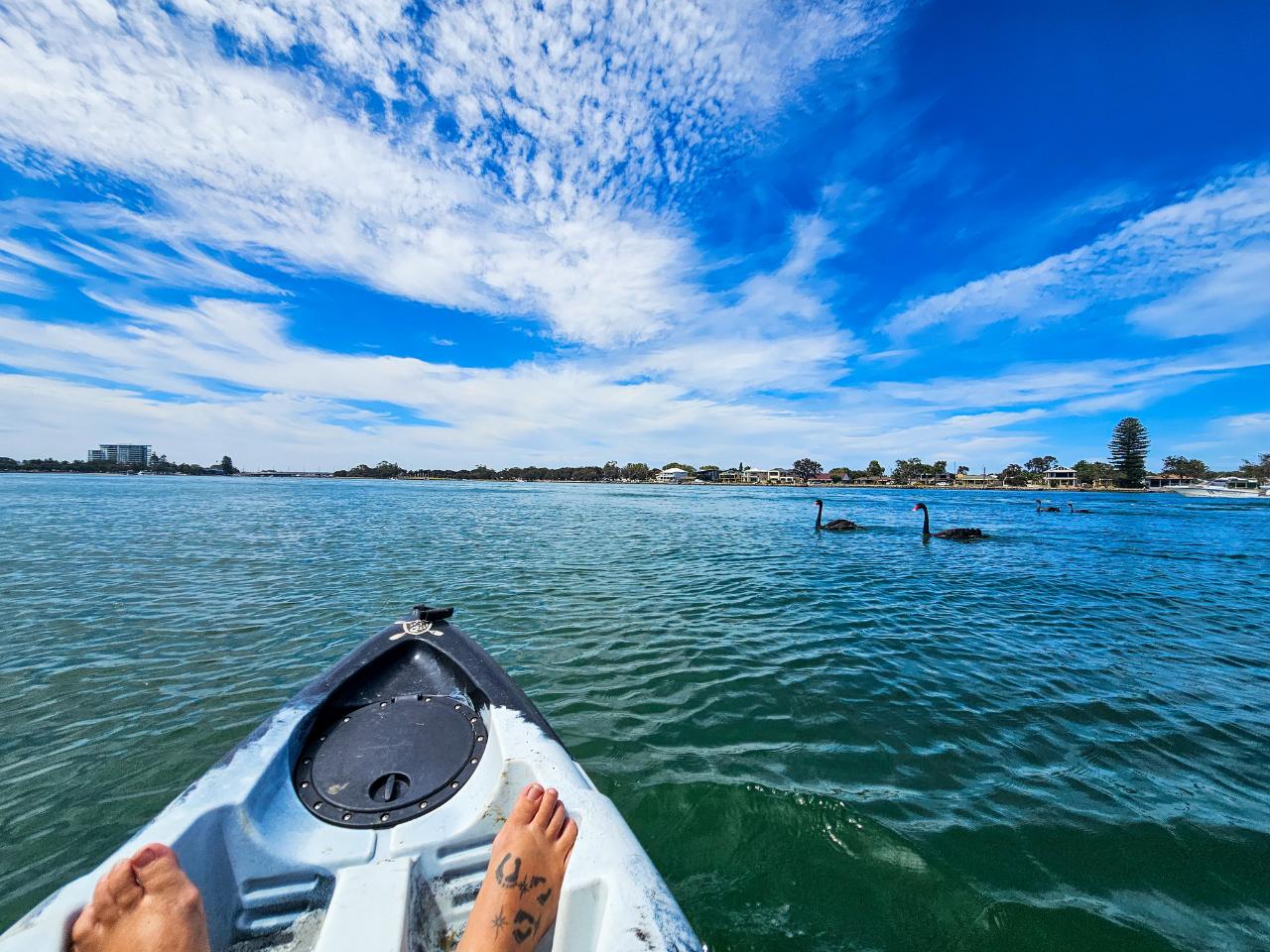 Half Day Single Kayak Hire