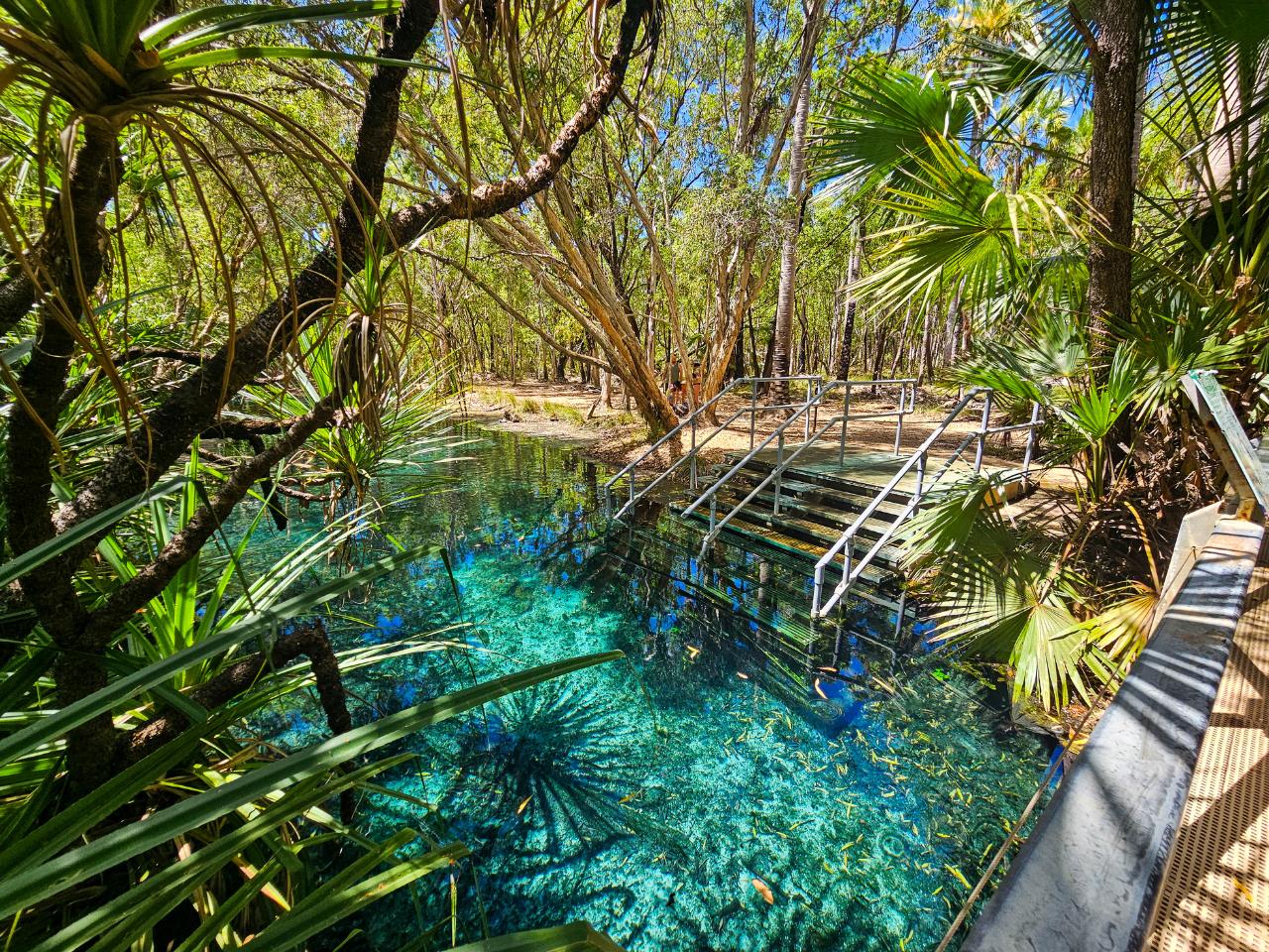Top End Trails & Tranquility: Litchfield, Mataranka & Katherine