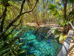 Top End Trails & Tranquility: Litchfield, Mataranka & Katherine