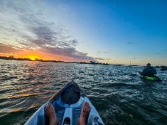 Sunrise Wildlife & Wetlands Kayaking Tour