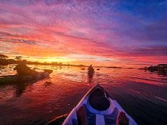 Sunrise Wildlife & Wetlands Kayaking Tour