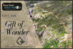 Give the Gift of Wonder