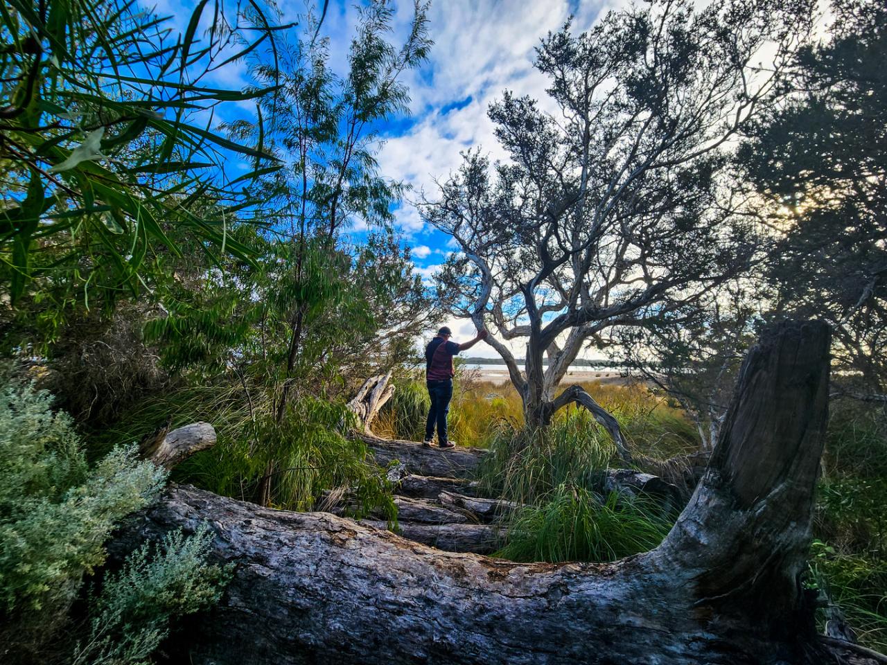 Family Adventure Collective - Yalgorup National Park EcoExplorers