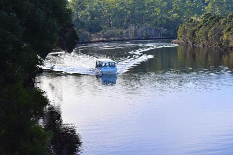 River and Forest Cruise - Catered & BYO Options 