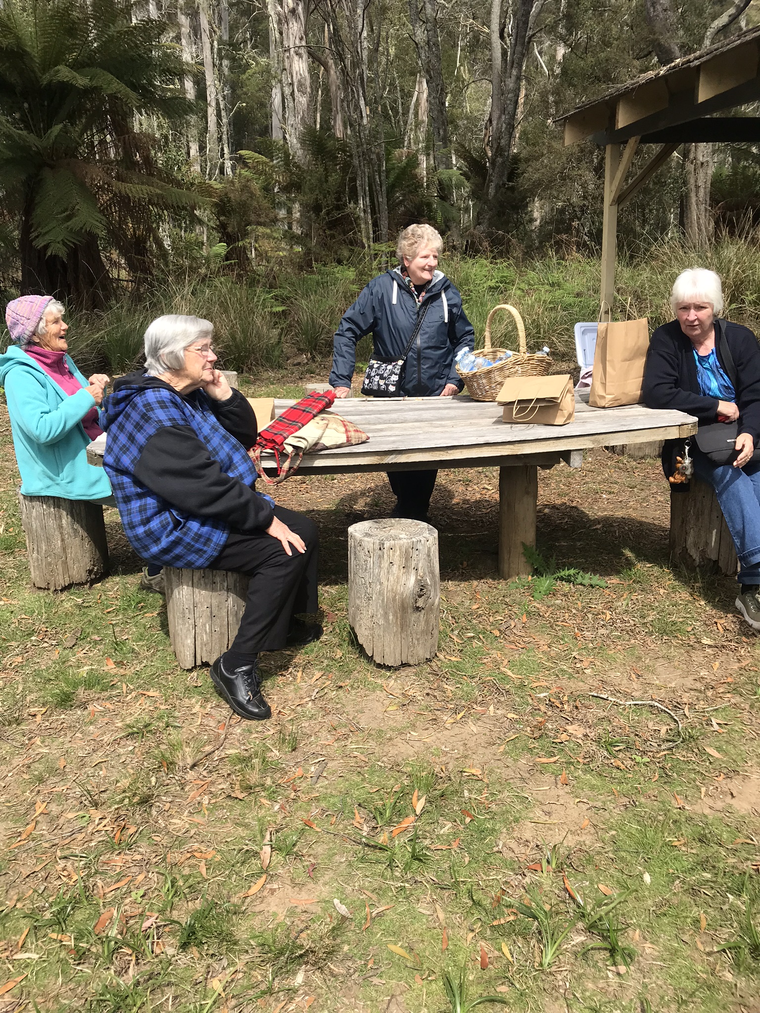 BYO FOOD, DRINKS  PICNIC FOREST CRUISE 3-4 hr