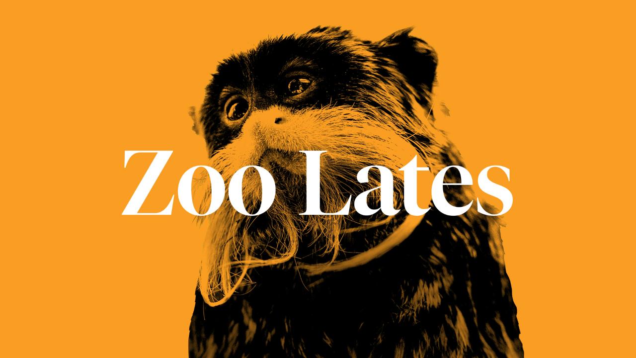 Zoo Lates