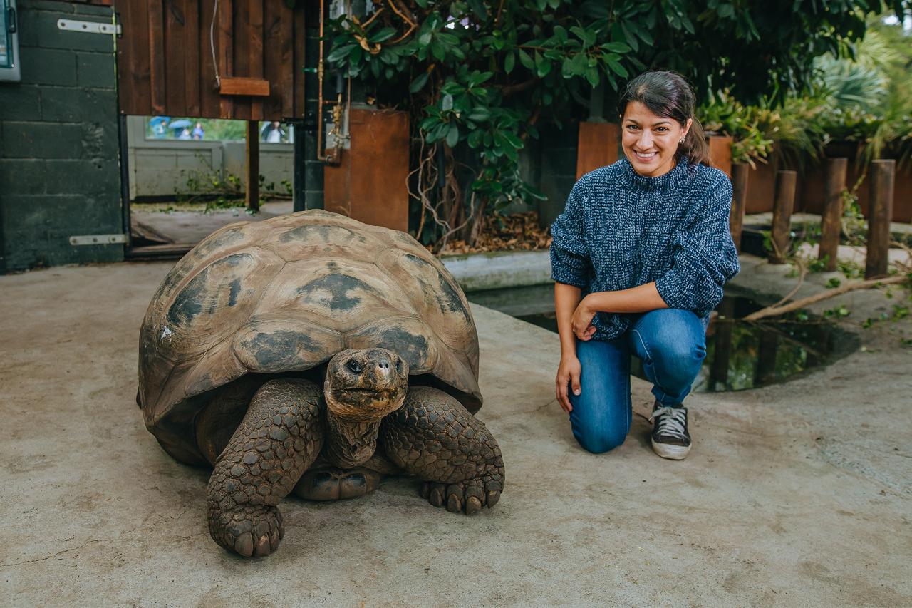 Galápagos Tortoise Experience