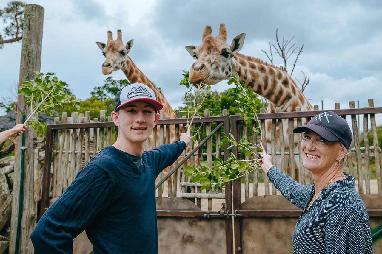 Giraffe Experience - Auckland Zoo Reservations