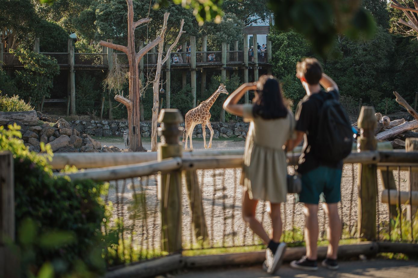 auckland zoo family annual pass