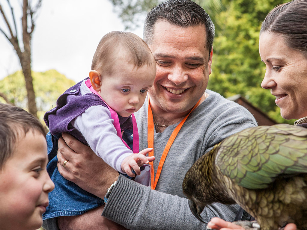 Coupon auckland zoo