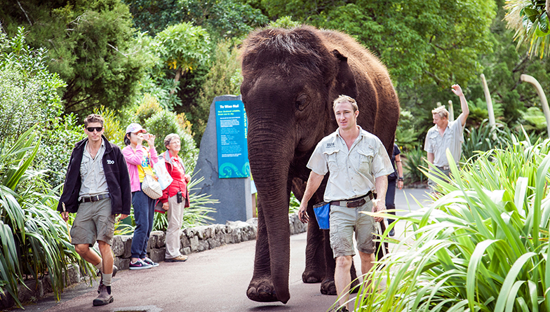 Friends of the Zoo - RENEWAL