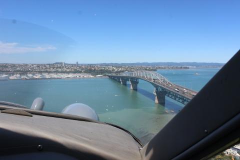 Rangitoto and City Scenic
