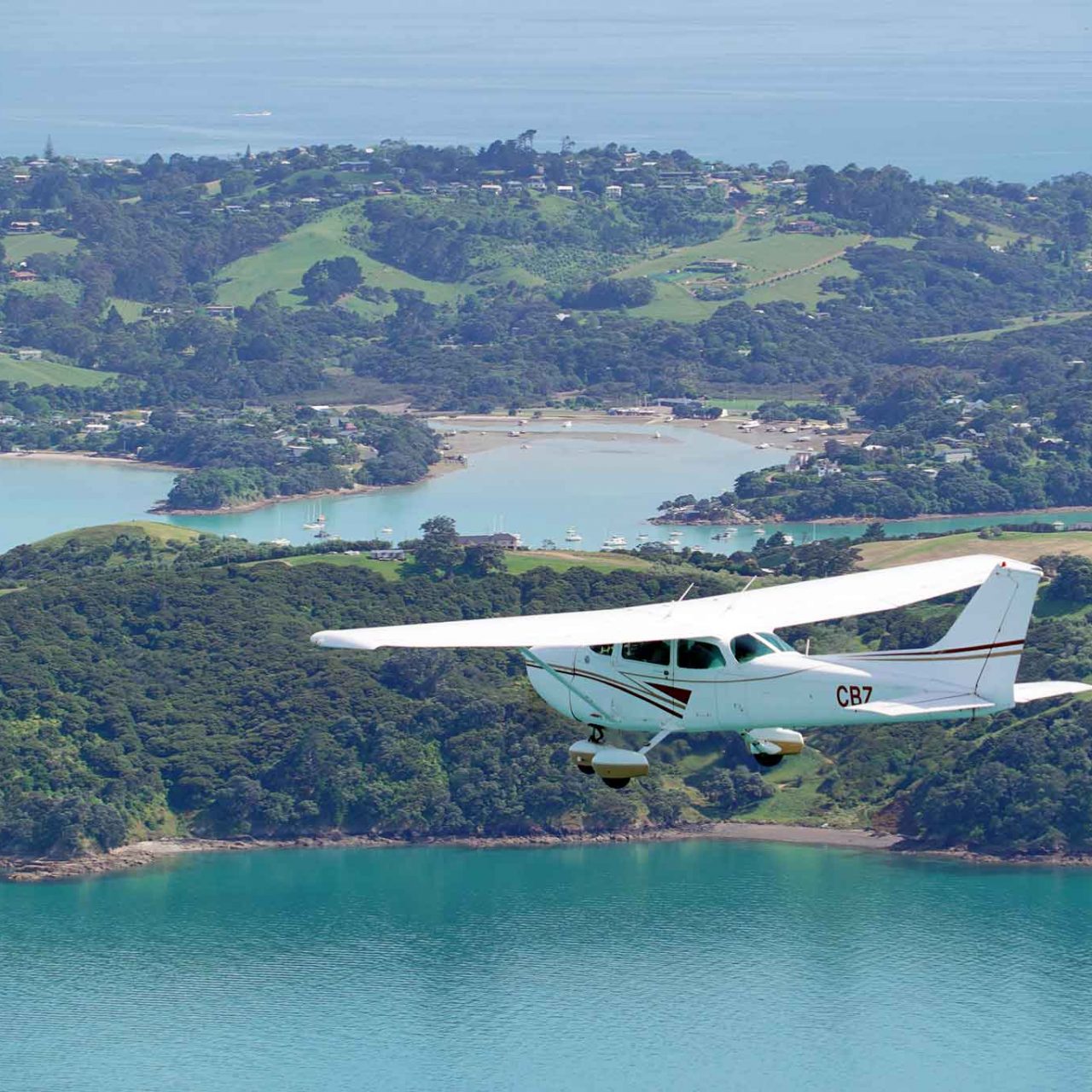 Ardmore to Waiheke