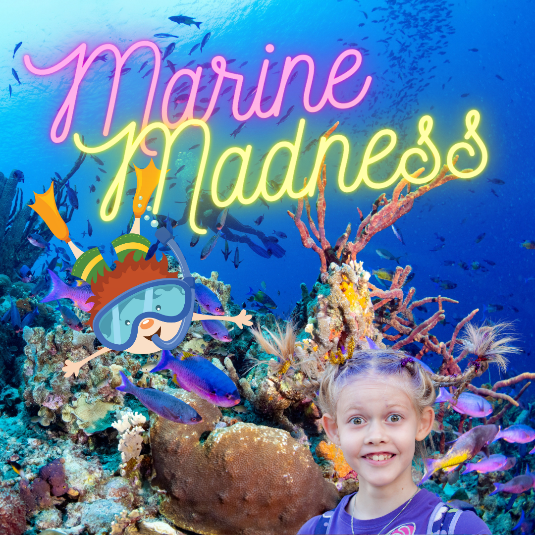 Marine Madness Fri 04th Oct 12pm (3hrs) 7-13 years