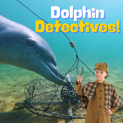 Dolphin Detectives Tue 24thSep 9am (3hrs) 7-13 years