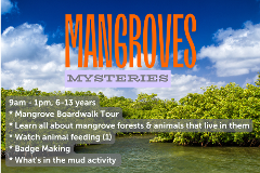 Mangrove Mysteries - 14th July 