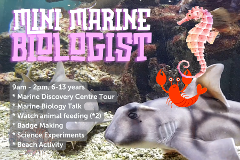 Mini Marine Biologist - 17th July 