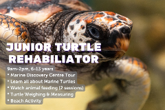 Junior Turtle Rehabilitator - 16th July