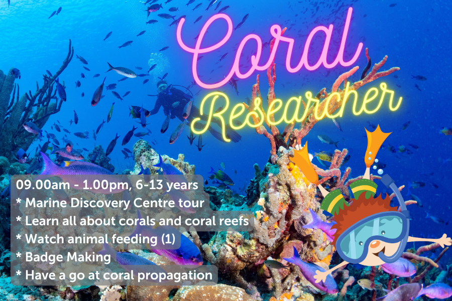 Coral Researcher - 18th July