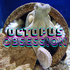 Octopus Obsession Mon 30th Sep 08:30am (3hrs) 7-13 years