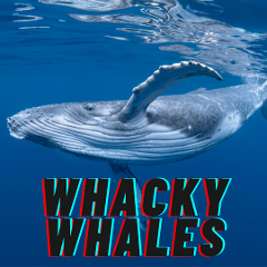 Whacky Whales Fri 4th Oct 08:30am (3hrs) 7-13 years