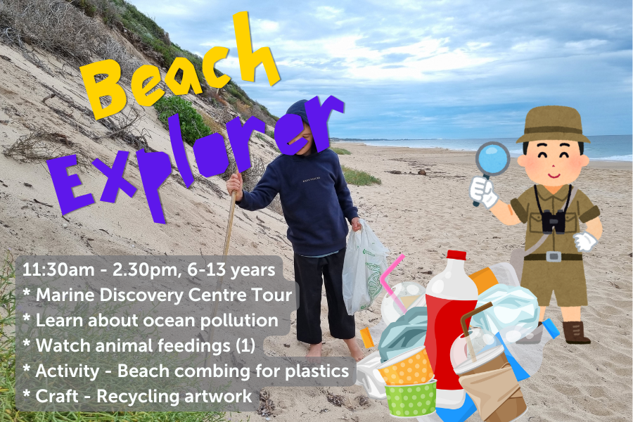 Beach Explorer - 16th July