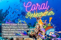 Coral Researcher - 10th July 