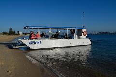 Exclusive Dolphin Eco Cruise 60min