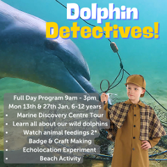 Dolphin Detectives - Full Day, Mon 13th or 27th January