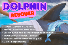 Dolphin Rescuer - 11th July