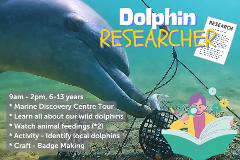 Dolphin Researcher - 9th July