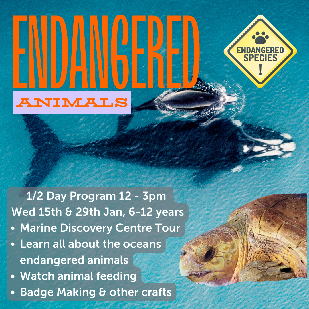 Endangered Animals - Half Day, Wed 15th or 29th January 2025